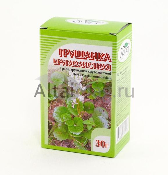 Изображение товара Грушанка круглолистная, трава, 30 г (Хорст) Грушанка круглолистная, трава, 30 г (Хорст) фотография